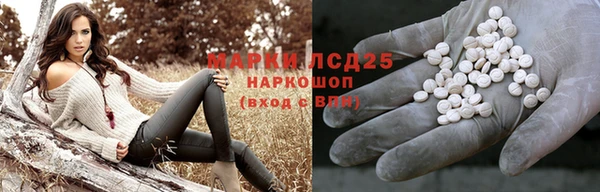ПСИЛОЦИБИНОВЫЕ ГРИБЫ Аркадак