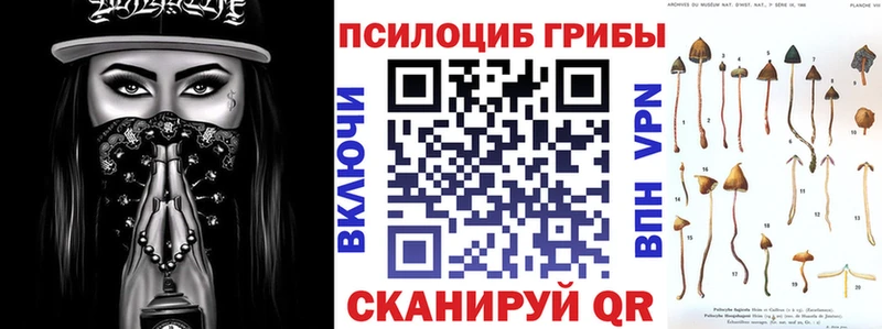 Псилоцибиновые грибы Cubensis  наркошоп  Шенкурск 