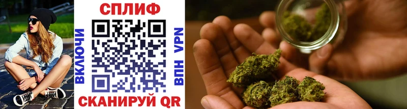 darknet состав  Шенкурск  Конопля тримм 